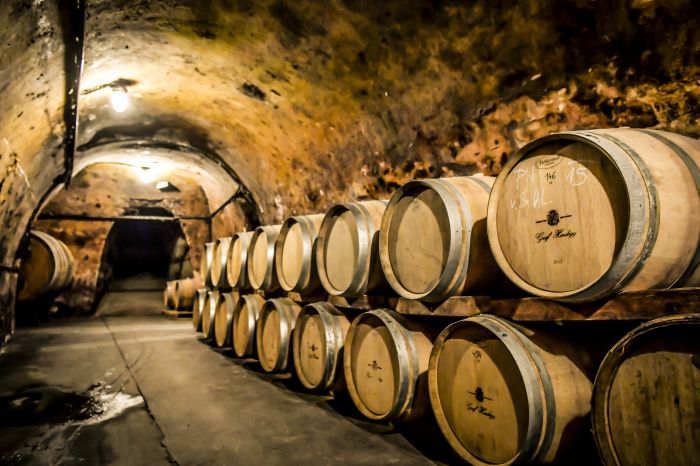 Im Hofkeller aus 1640