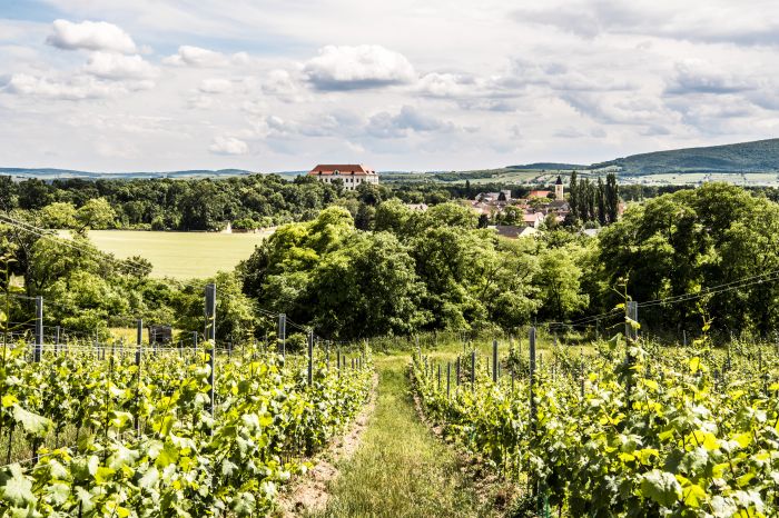 In der Einzellage Steinb&uuml;gel mit Blick auf Schloss Seefeld
