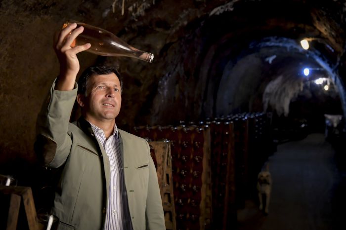 DI Maximilian Hardegg im Sektkeller